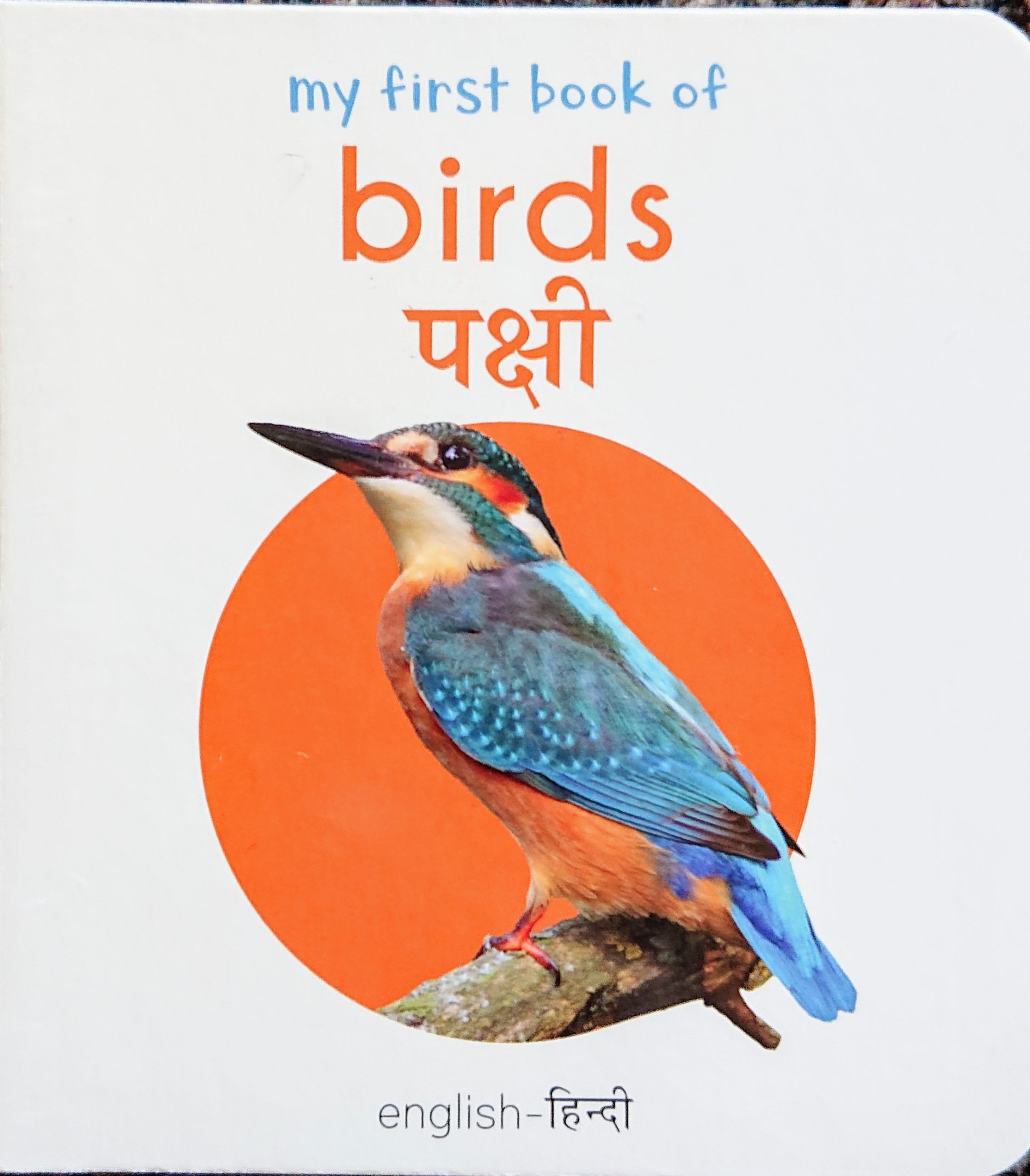 My first book of birds Le Toboggan