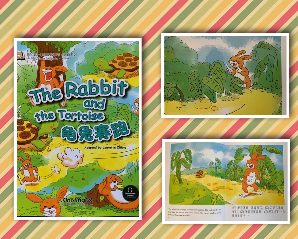 the rabbit and the tortoise - le toboggan