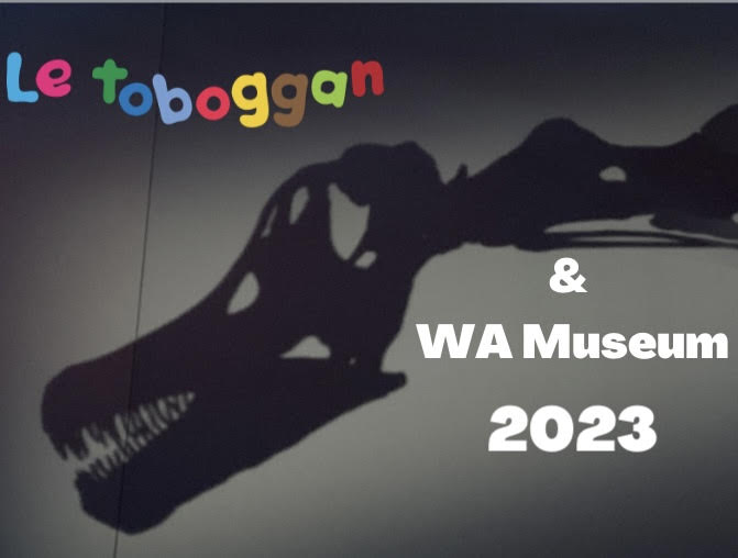Le toboggan at the WA Museum