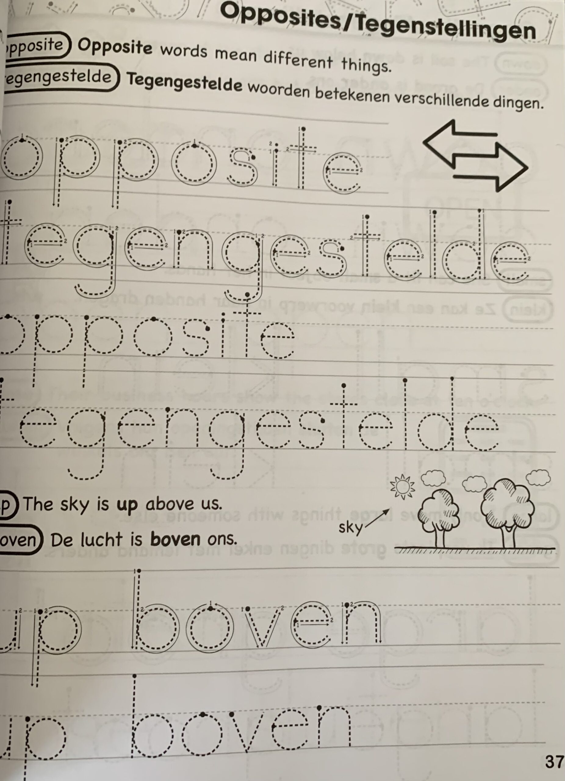 my first 150 sight words