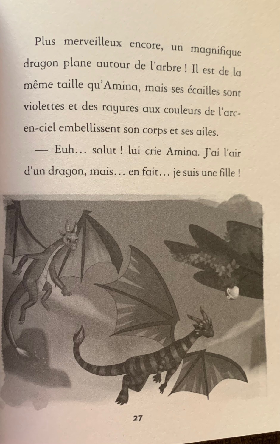 Dragon girls - Amina le dragon d'or